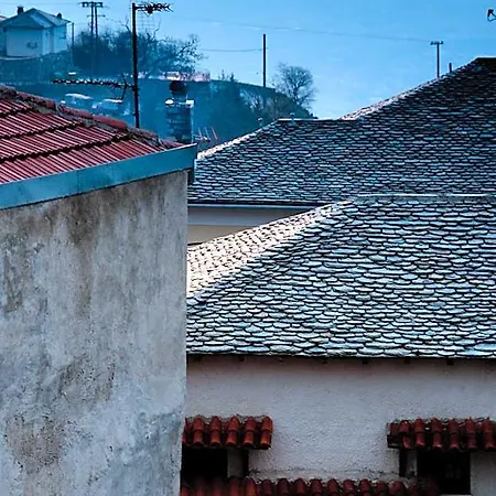 Hotel Belina